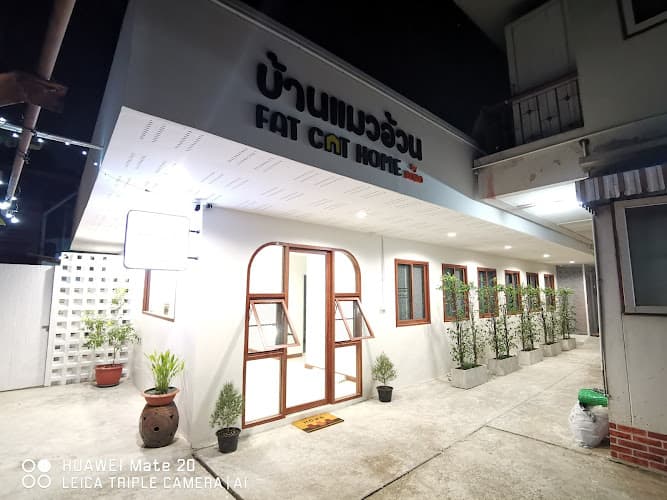 โรงแรมแมว บ้านแมวอ้วน FAT CAT HOME by BOBO